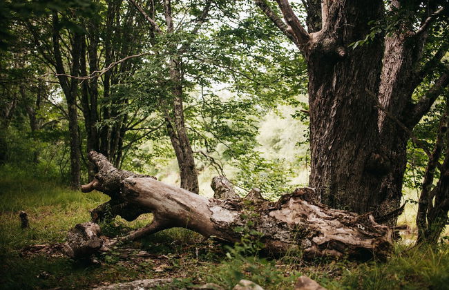 FlowEdge Riverside Getaway - Photo 44