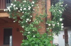 Casa del Sole, Lago di Monate - Foto 13