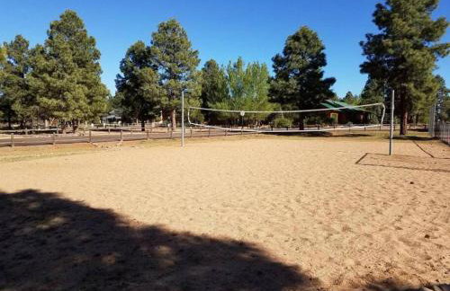 Cabin with Wild Horses, Fireplace, Dog Friendly & StarLink - Foto 26