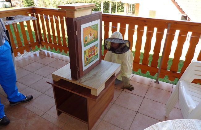 Tourist farm and beekeeping Salamun - Foto 24