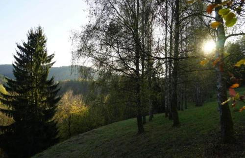 Family Comfort in Güntersberge - Foto 33