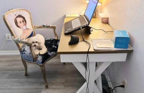 Texas Bluebonnet Farmhouse - Foto 24