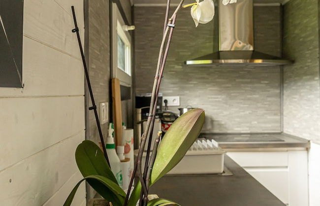 Les Cabanes de Warincthun - Foto 23