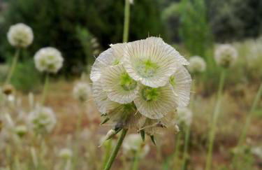 Casa Rural RosaVera - Foto 55