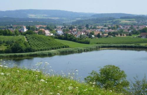 Basler - Het Kleine Vakantiegeluk - Foto 33