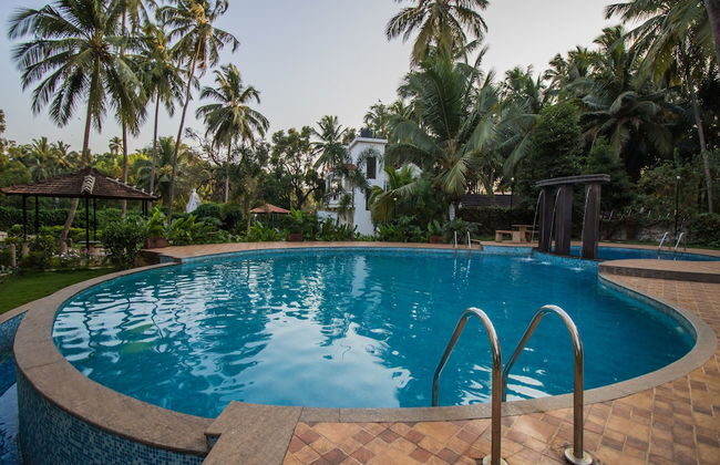 OYO 12953 Home Pool View 2BHK Arpora - Photo 20