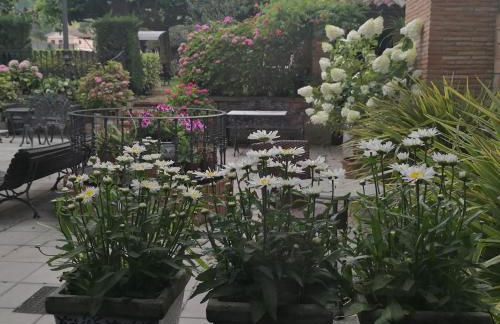 Apartamentos La Pontiga *** - Foto 92