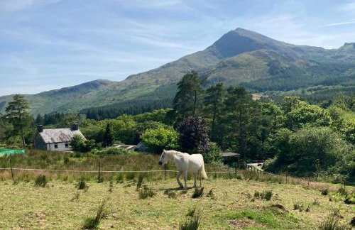 Snowdonia Holiday Lodges - Photo 9