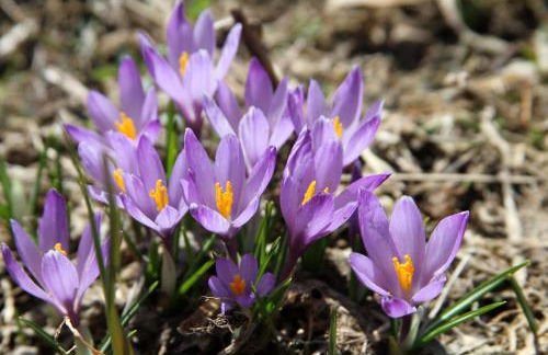 Apparthotel Marteshof - Foto 46