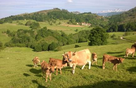 El Portiellu - Foto 68