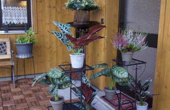 Stilvolles und Kunstvolles Retreat Apartment mit 400qm Garten & Massage und Ayurveda - Foto 41