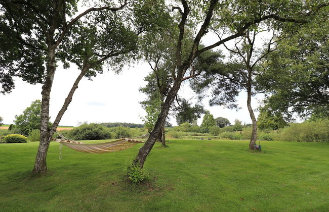 Villa in Ommen With Private Pond - Foto 32