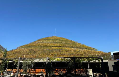 Weingut Griesserhof - Foto 19