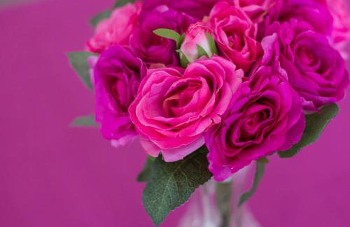 Apartment Mikic - Foto 25