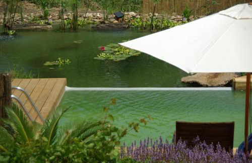 Quinta do Arade - casa 4 pétalas - Foto 40