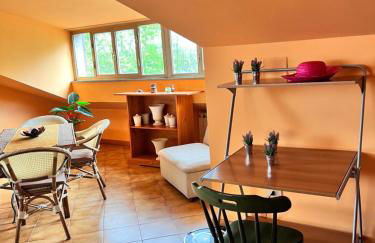 Giustina - appartamento spazioso e tranquillo - parcheggio privato per BICI e auto - su richiesta ammessi animali - Foto 38