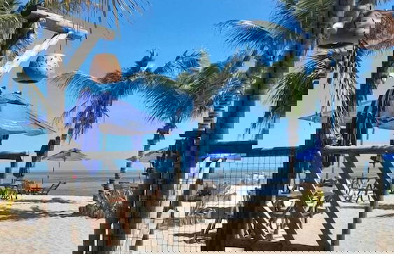 Reserva Barra Grande SPE - Foto 11