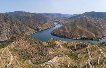 Andar Moradia T4 na Casa do Olival - Foto 44