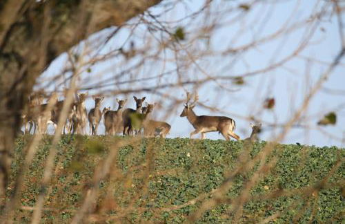 Reethus Stöfs - Foto 32
