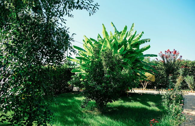 Beautiful Village Bungalow - Foto 36