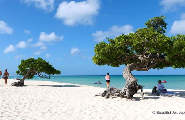 Remarkable 1-bed Apartment in Noord - Foto 30