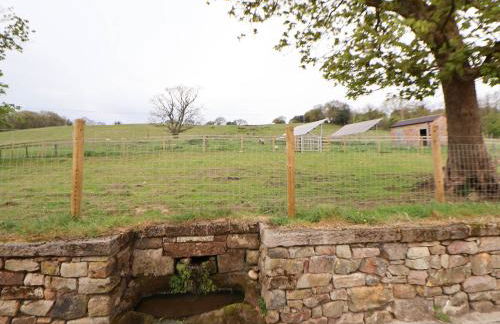 Sprinks Farm - Foto 45