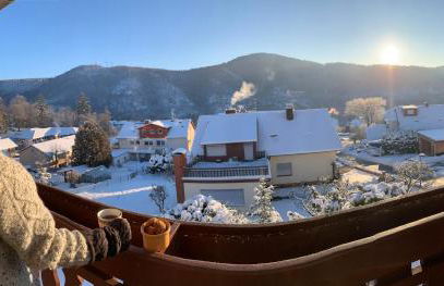 Ferienwohnung Sonnenblick - Foto 12