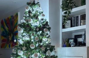 The Shieling, Tenby, Town Centre - Foto 14