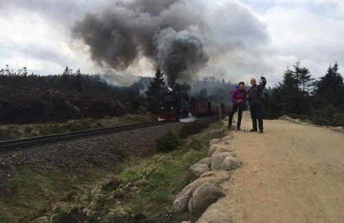 Blockhaus an der Skiwiese Braunlage - Foto 75
