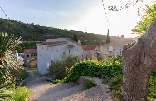 Marin Novigrad - Foto 17