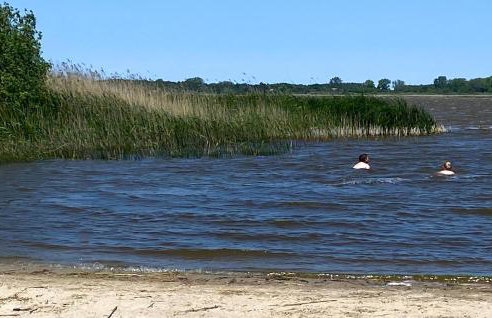 Amazing Home In Postomino With Wifi - Foto 11