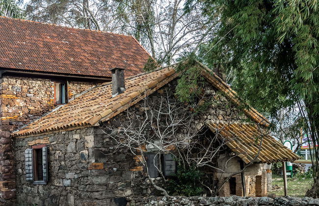 Tour dell'immigrazione italiana a Caxias do Sul - Foto 1