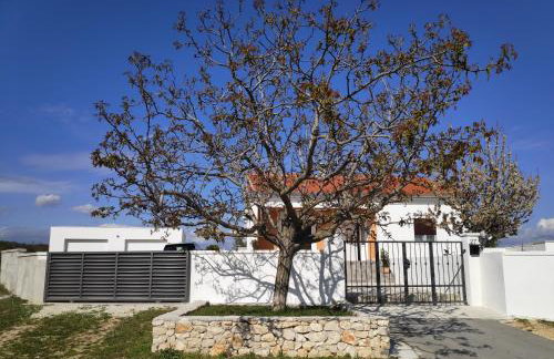 Family friendly house with a swimming pool Bulic, Zagora - 18943 - Photo 1