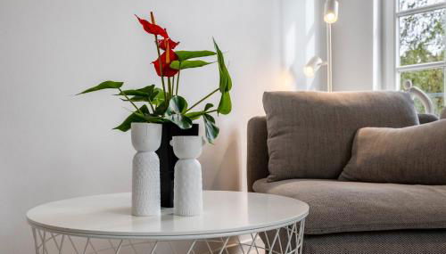 Saale Fewo mit Burgblick - Foto 4