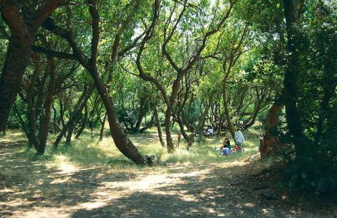 La Casa Di Benedetta - Foto 27