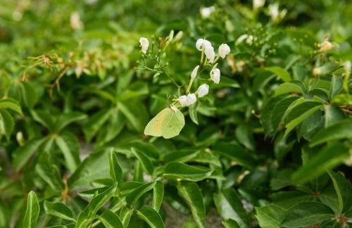 Holiday apartment in Saplunara with sea view, balcony, air conditioning, WiFi 5197-1 - Photo 16