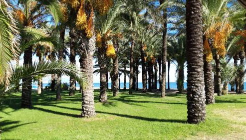 Las Plumas Beach - Foto 3