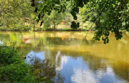 Le fournil à Mïette - Foto 36