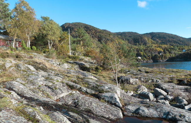 Hjartnesvika - Foto 20