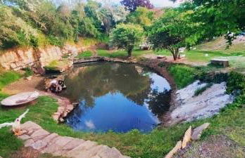 Studio au bord de l'étang - Foto 8