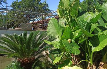 La Terrazza Quisisana Sorrento Coast - Foto 70