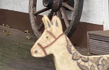 Chalet zur Eselei - Foto 18