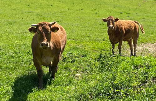 Kerns Ferienwohnung - Foto 16