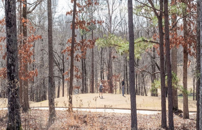 Mt. Vintage Getaway - Foto 33