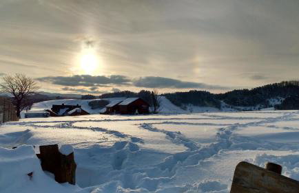 Apartament w Bieszczadach - Photo 36