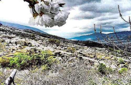 El Pajar de Tía María - Foto 26