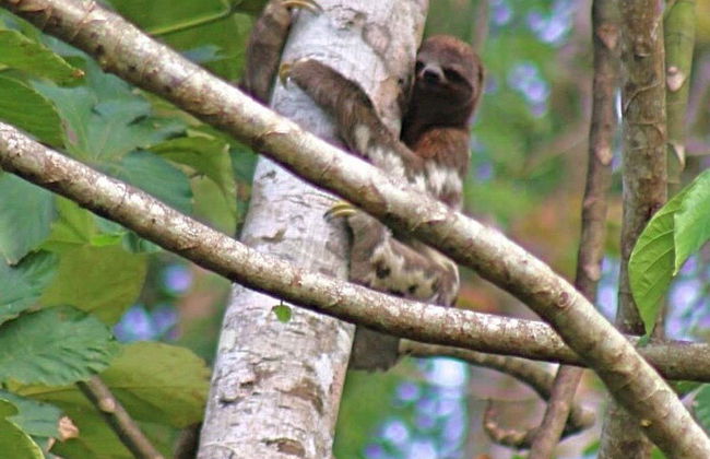 Escursione di 2 giorni alla Reserva Naturale Marasha - Foto 7