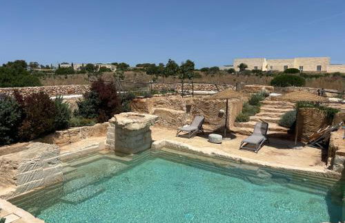 FICOMORO FARM - Foto 19