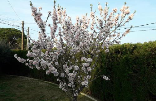 LA VILLA DEL PARAISO - Foto 19