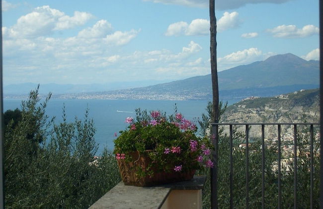 Gli Ulivi Agriturismo - Foto 53